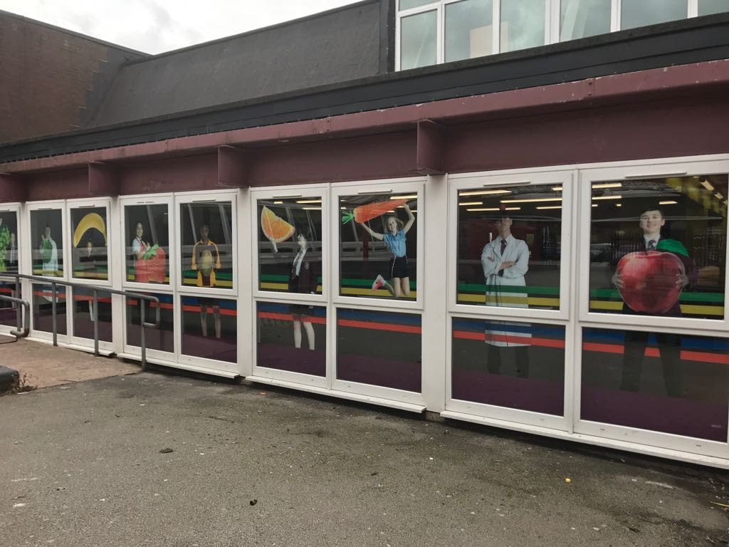 External Window Graphics Experts